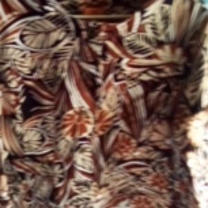 Beautiful girls jacket